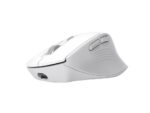 Miš TRUST NIVEN COMFORT MULTI-WRLS MOUSE/bela